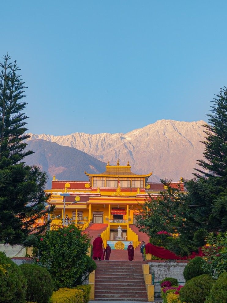 Trippy Travels - Himachal Pradesh - Dharamshala Travel Experience Dharamshala in Himachal Pradesh for Trippy Travels destination guide and curated itinerary