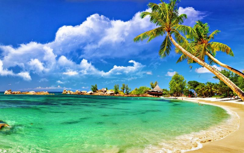 Trippy Travels - Andaman & Lakshadweep - Havelock Island Travel Experience Havelock Island in Andaman & Lakshadweep for Trippy Travels destination guide and curated itinerary