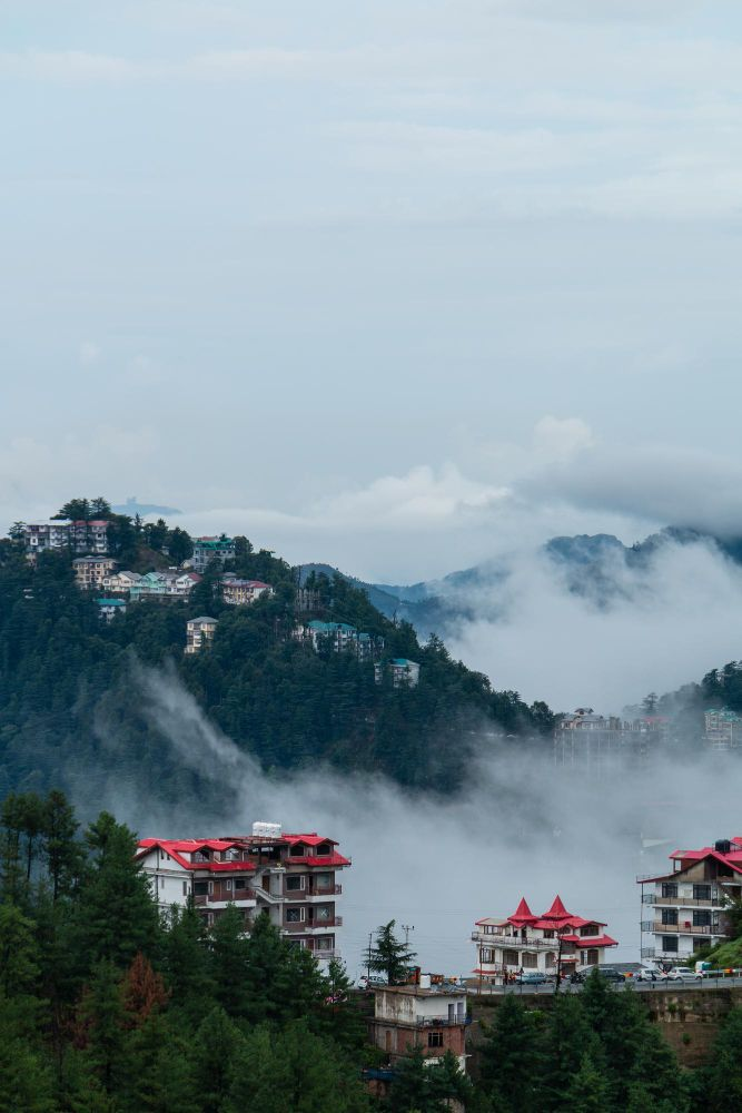 Trippy Travels - Himachal Pradesh - Shimla Travel Experience Shimla in Himachal Pradesh for Trippy Travels destination guide and curated itinerary