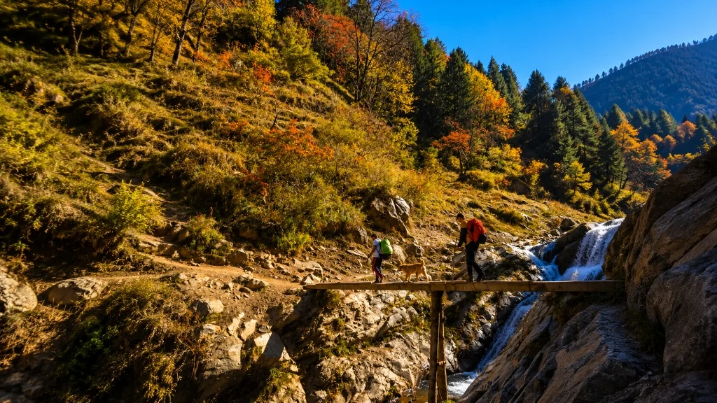 Kheerganga Trek trail in Kasol, Himachal Pradesh for Trippy Travels trekking adventure itinerary