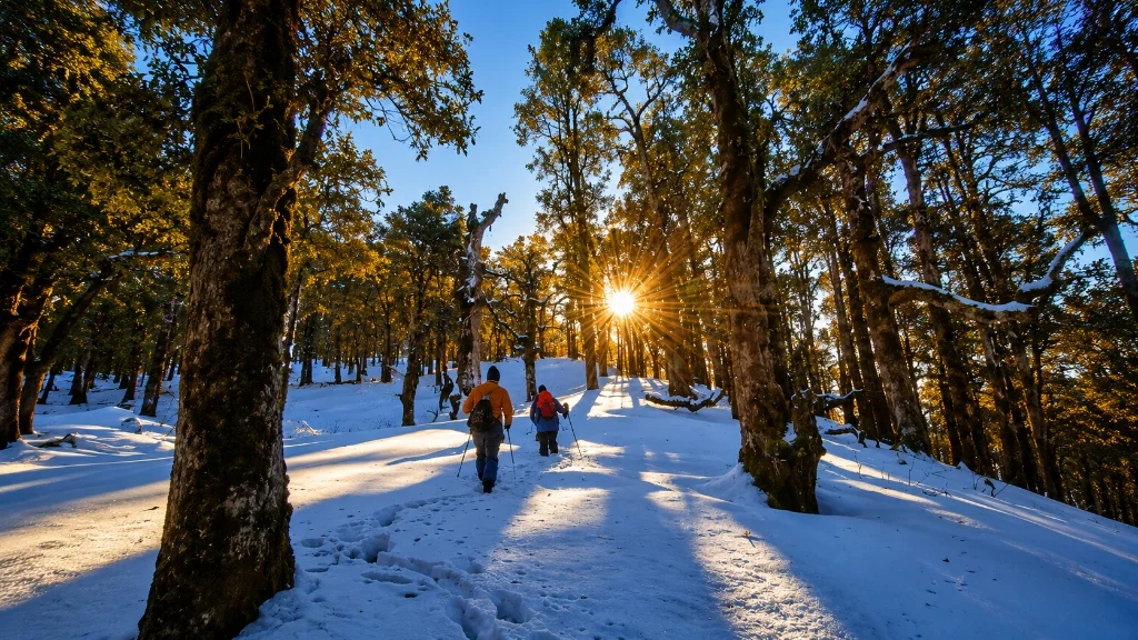 Nag Tibba Trek trail in Mussoorie, Uttarakhand for Trippy Travels trekking adventure itinerary